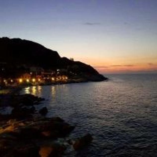 Piacentini & C S.n.c. - Foto 4