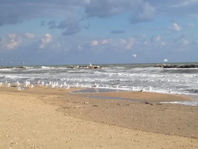 Stabilimento Balneare in vendita a Cupra Marittima - Foto 9