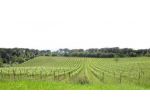 Locale comm.le/Fondo in vendita a Montalcino 1300 mq  Rif: 1418667