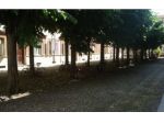 POLITECNICO TORINO AFFITTASI