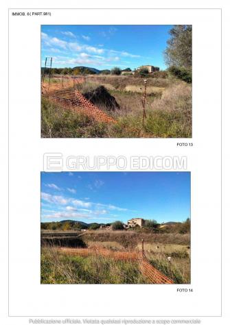Terreno di 13507 mq in vendita a Bracciano - Rif. 4556556 - Foto 6