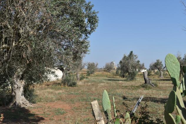 Indipendente in vendita a Copertino - Foto 13