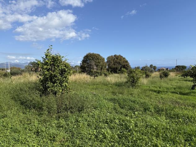 Agricolo in vendita a Giarre - Foto 4