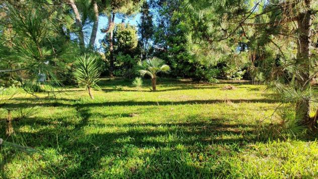 Villa in vendita a Marina di Massa - Massa 140 mq Rif: 1086203 - Foto 6