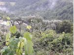 Terreno a Casaprots Sabina