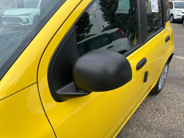 FIAT Pandina Pandina 1.0 firefly hybrid Icon s&s 65cv - Foto 4