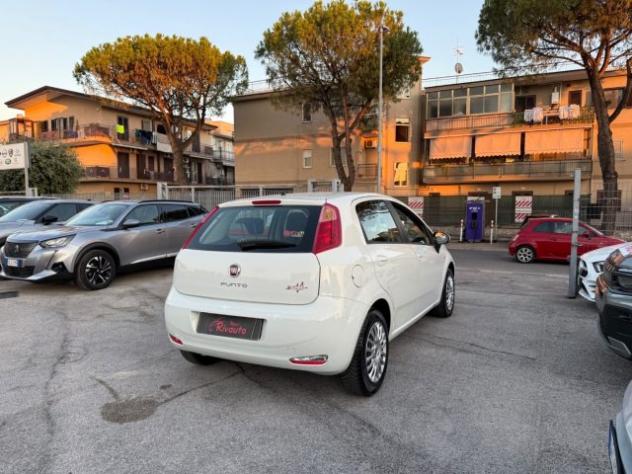 FIAT Punto 1.3 MJT II 75 CV 5 porte Young rif. 24198535 - Foto 6