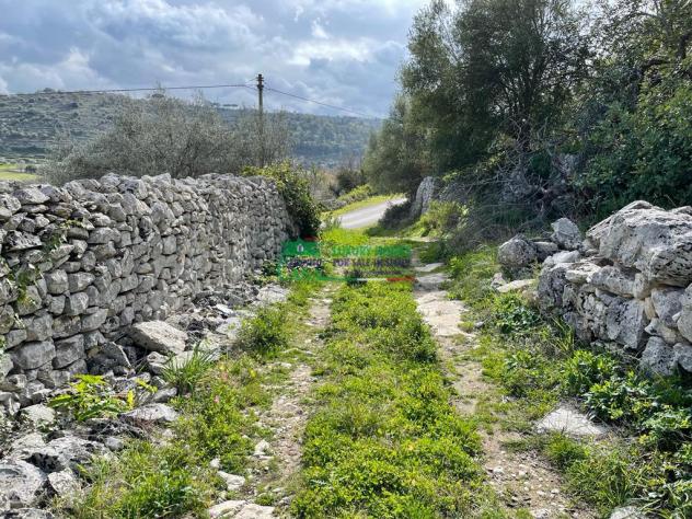 Rif.2331 - Rustici con Terreno agricolo edificabile al Mauto - Foto 2