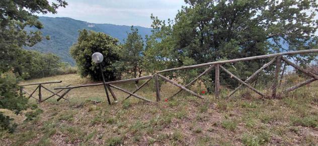 Agricolo in vendita a Rocca di Papa - Foto 14