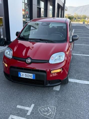 FIAT Panda NEW 1.0 70cv Hybrid PANDA - Foto 4