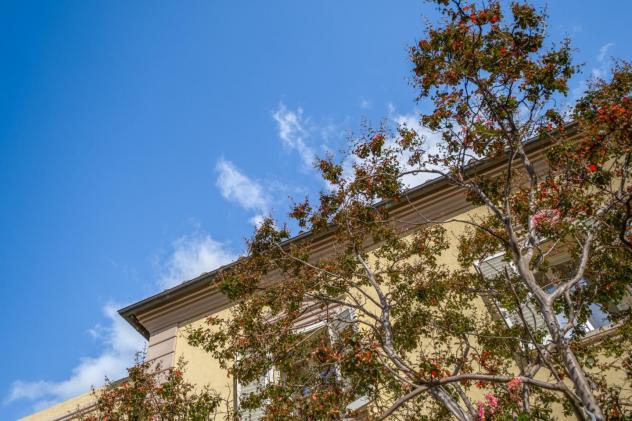 Villa in vendita a San Benedetto a Settimo - Cascina 390 mq Rif: 1444706 - Foto 5