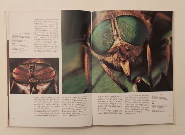 Fotografare la natura di Claude Nuridsany, Marie Pérennou 1°Ed.Mondadori, 1976 - Foto 6