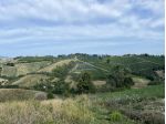PODERE AGRICOLO CON CAPANNONE - BRISIGHELLA - FAENZA - VIA AGELLO E SANDRONA