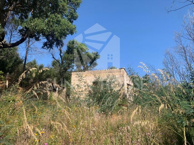 Terreno Agricolo con Magazzino in Vendita a 6 km da Cefalù