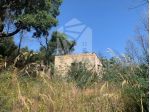 Terreno Agricolo con Magazzino in Vendita a 6 km da Cefalù