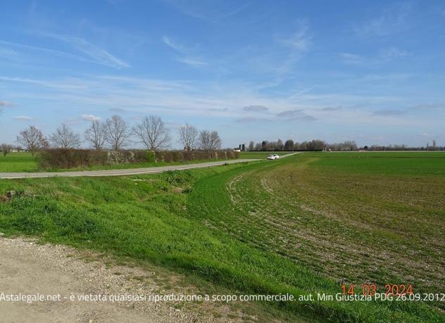 R.G.E. 407/2023 Pavia