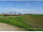 R.G.E. 407/2023 Pavia