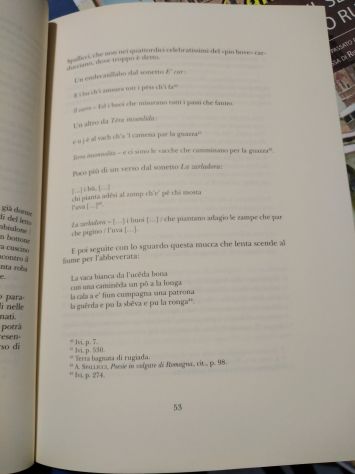 Meriggio in Romagna - dialetto folklore poesia - Cino Pedrelli - Foto 5