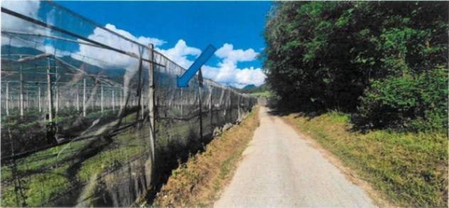 Immobile in asta di 30279 m² in vendita a Borgo Valsugana - Foto 4