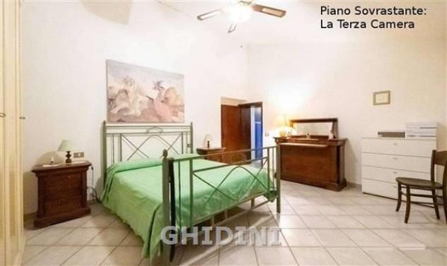 COLONICA di 8 vani e di 200 mq (MAGLIANO IN TOSCANA - POGGIO LA MOZZA) rif. 1017.163M - Foto 16