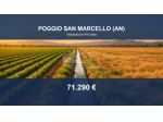 Immobile in asta di 60317 m² in vendita a Poggio San Marcello