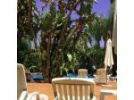 Costruzioni Immobiliari Gestione Attrezzature Turistiche S.r.l. Ed