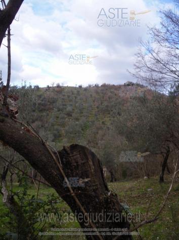 IMMOBILI-ALTRA CATEGORIA-località Puzzara - Foto 3
