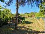 Terreno agricolo in vendita a Poggibonsi 7700 mq  Rif: 1403716