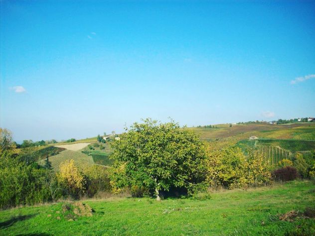 Terreno edificabile panoramico 1700 mq – colline Val Tidone - Foto 3
