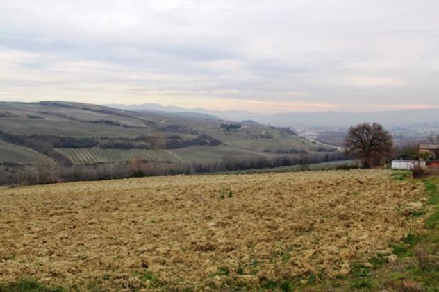 Allerona - Vendesi terreno edificabile di 1 ha