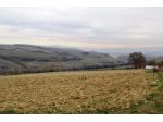 Allerona - Vendesi terreno edificabile di 1 ha