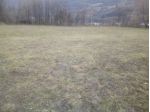 Terreno Agricolo pianeggiante mq 17000 + stalla