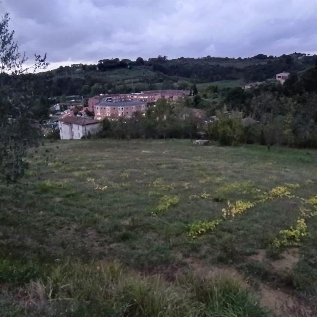 SIENA vendesi terreno AGRICOLO località COLONNA SAN DI 20000 MQ