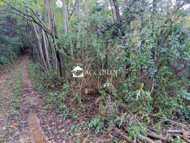 TERRENO AGRICOLO di 18591 mq (VOLPAGO DEL MONTELLO) rif. BL9 - Foto 2