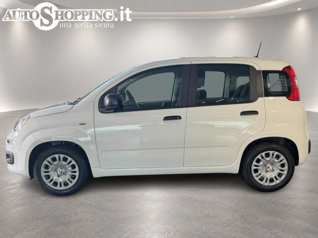 FIAT Pandina Panda III 1.0 firefly hybrid Icon s&s 65cv 5p.ti - Foto 6