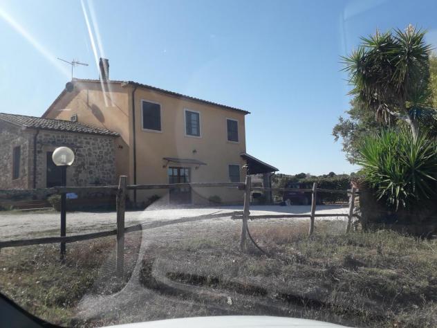 Terreno agricolo in vendita a Manciano 210000 mq Rif: 1190900 - Foto 3