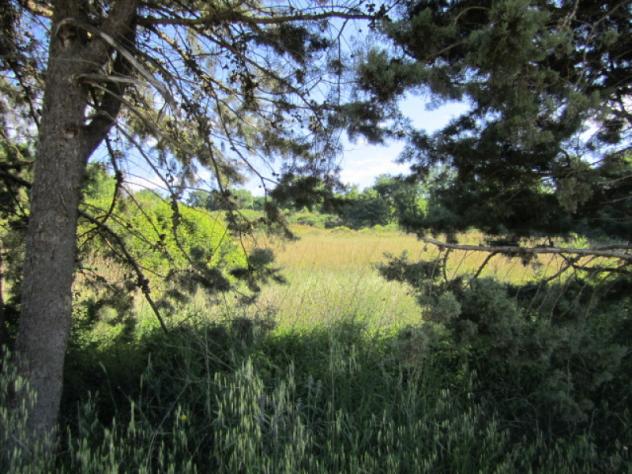 Casa di campagna in Località Penna-Molino - Foto 19