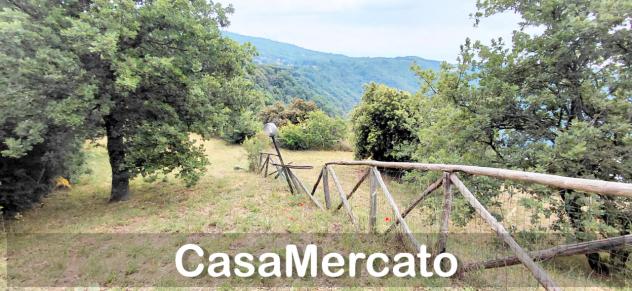 Agricolo in vendita a Rocca di Papa - Foto 5