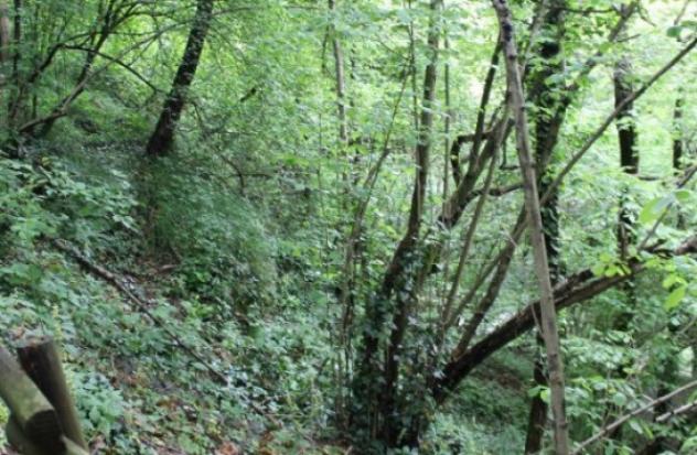 Immobile in asta di 20 m² in vendita a Besana in Brianza - Foto 4
