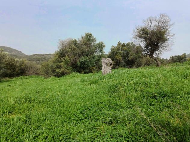 Agricolo in Via Casale dell'Oliveto - Foto 12