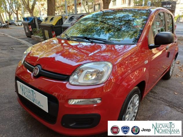 FIAT Panda Pandina 1.0 FireFly S&S Hybrid Icon Km0 rif. 24003092 - Foto 2