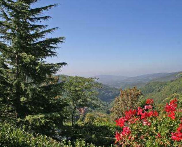 rustico PT1200 - Villa a Pistoia - Sammommè - Foto 12