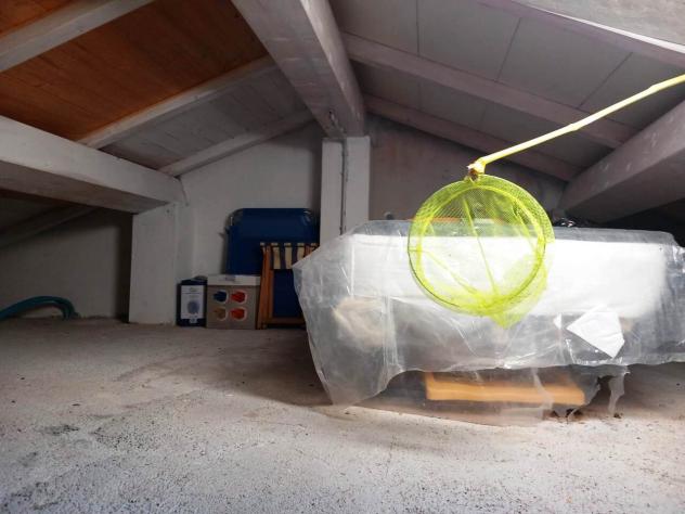 Appartamento in vendita a Sarzana - Foto 12