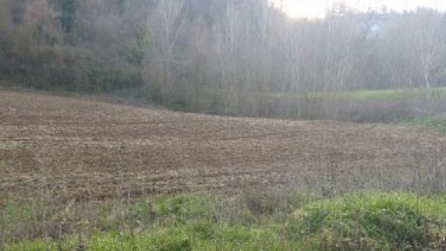 Seminativo in vendita a Mondavio - Foto 8