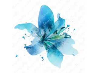 Amore e incontri Torino - Uomo single cerca signora seria Tel:0041787727152