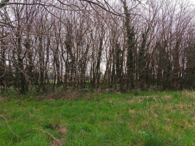 Immobile in asta di 105 m², box auto doppio in vendita a Robecchetto con Induno - Foto 2