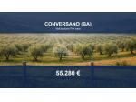 Immobile in asta di 12012 m² in vendita a Conversano