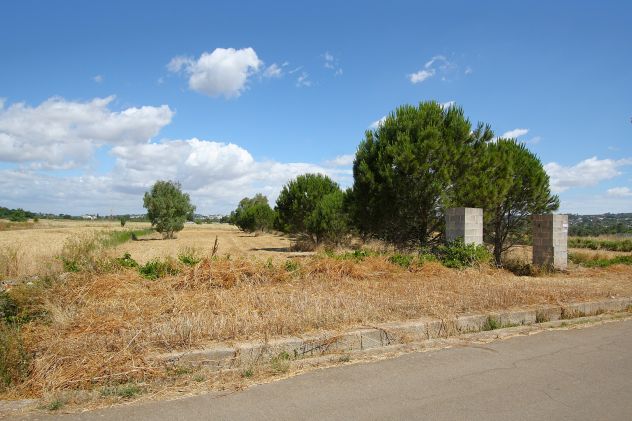 Terreno edificabile - Foto 5