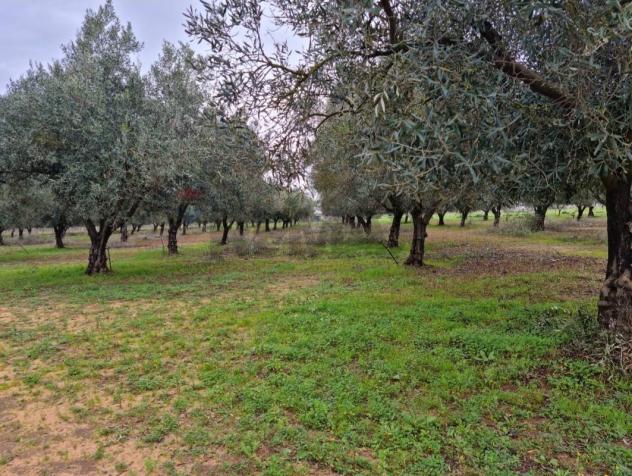 Terreno in vendita a Vittoria - Foto 2