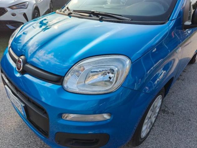 FIAT Panda 1.0 FireFly S&S Hybrid Pop rif. 23302510 - Foto 9